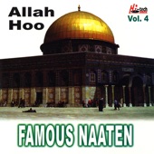 Famous Naaten - Vol.4 artwork