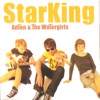 StarKing, 2004