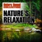 Frogs, Insects and Birds In the Swamp At Night - Nature Sound Collection lyrics