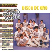 Internacional Carro Show - Con Paso Fino