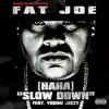 (Ha Ha) Slow Down [feat. Young Jeezy] - Single album lyrics, reviews, download