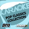 Zoom Karaoke - Pop Classics Collection, Vol. 126