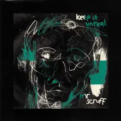 Keep It Unreal - Mr. Scruff