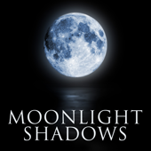 Moonlight Shadows - The Sax Moods Band