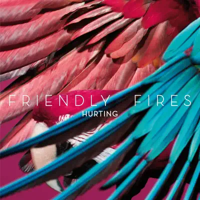 Hurting (Remixes) - Single - Friendly Fires