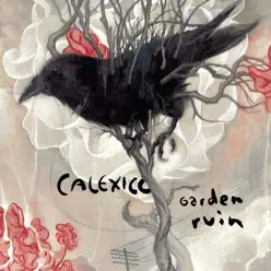 Garden Ruin - Calexico