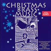 Christmas Brass Music - Otto, Vejvanosvský, Praetorius, etc artwork