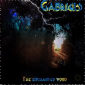 The Enchanted Wood artwork