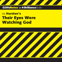 Megan E. Ash - Their Eyes Were Watching God: CliffsNotes (Unabridged) artwork