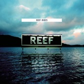 Reef - Sweety (Album Version)