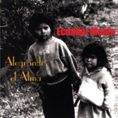 Alegrando el Alma artwork