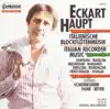 Recorder Concert (Italian): Haupt, Ekart – Fontana, G.B. - Mancini, F. - Vivaldi, A, - Bellinzani, P.B. - Barsanti, F. - Veracini, F.M. album lyrics, reviews, download