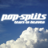 Tears in Heaven (Pop-Splits) 21 traurige und schöne Geschichten - N.N.