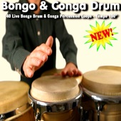 Bongo Drum Loop #1 artwork
