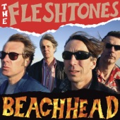 The Fleshtones - You Don't Know