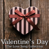 Valentines Day - The Love Song Collection (Instrumental) - Various Artists