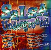 Salsa Hits artwork