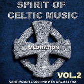 Spirit of Celtic Music, Vol.2 artwork