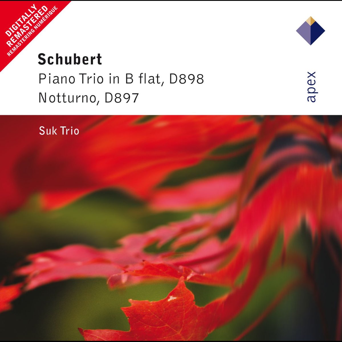  schubert piano trio no 1 piano trio notturno by suk trio on apple
