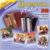 Harmonikagrüße Folge 4, 2008