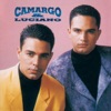 Camargo & Luciano, 1995