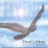 David LaMotte - We Are Each Other's Angels