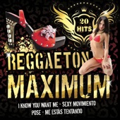 Reggaeton Maximum artwork