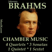 Brahms, Vol. 12 : Chamber Music - Vários intérpretes
