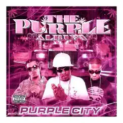 The Purple Album by Purple City album reviews, ratings, credits