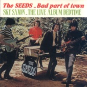 The Seeds - Bad Part of Town