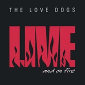 The Love Dogs - You Did Me Wrong