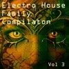 Electro House Family Compilation, V*l. 3