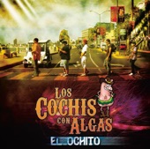 Los Cochis Con Algas - Mi Cafetal