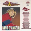 Raccolta di successi, vol. 5 (The Best of Nino D'Angelo Collection)