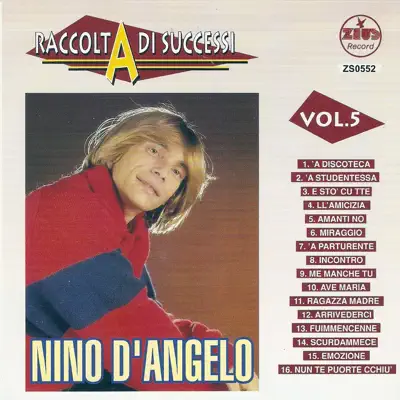 Raccolta di successi, vol. 5 (The Best of Nino D'Angelo Collection) - Nino D'Angelo