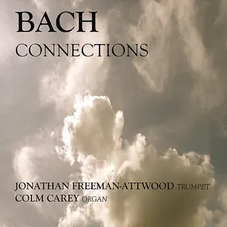 Concerto In D Minor - Presto by Colm Carey & Jonathan Freeman-Attwood song reviws