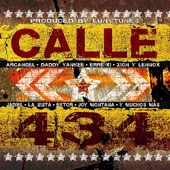 Luny Tunes Presents: Calle 434 artwork