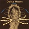 Money Changes Everything - Delta Moon lyrics