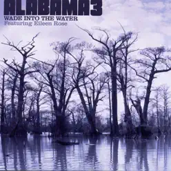 Wade Into the Water (feat. Eileen Rose) - EP - Alabama 3