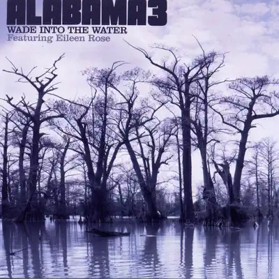 Wade Into the Water (feat. Eileen Rose) - EP - Alabama 3