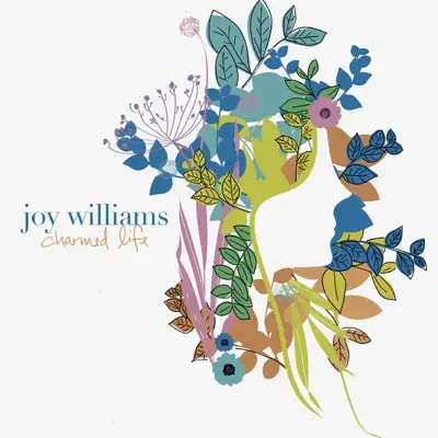 Charmed Life (Remixes) - EP - Joy Williams