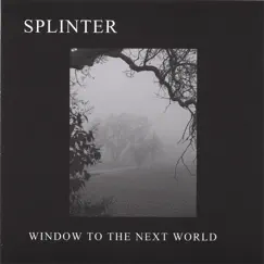 Window to the Next World by Splinter album reviews, ratings, credits