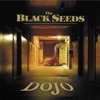 The Black Seeds - Cool Me Down