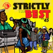 Strictly the Best, Vol. 45 artwork