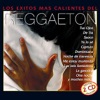 Exitos Calientes del Reggaeton, 2009