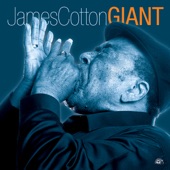 James Cotton - How Blue Can You Get?