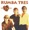 Rumba Tres - seora