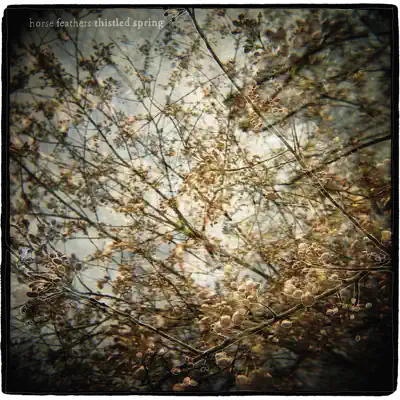 Thistled Spring - Horse Feathers