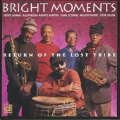 Bright Moments - Return of the Lost Tribe