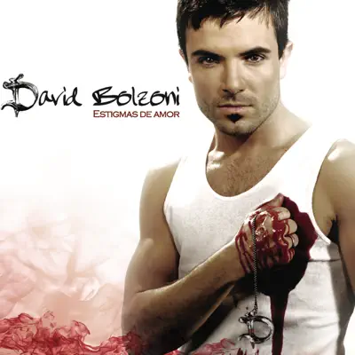 Estigmas de Amor - David Bolzoni